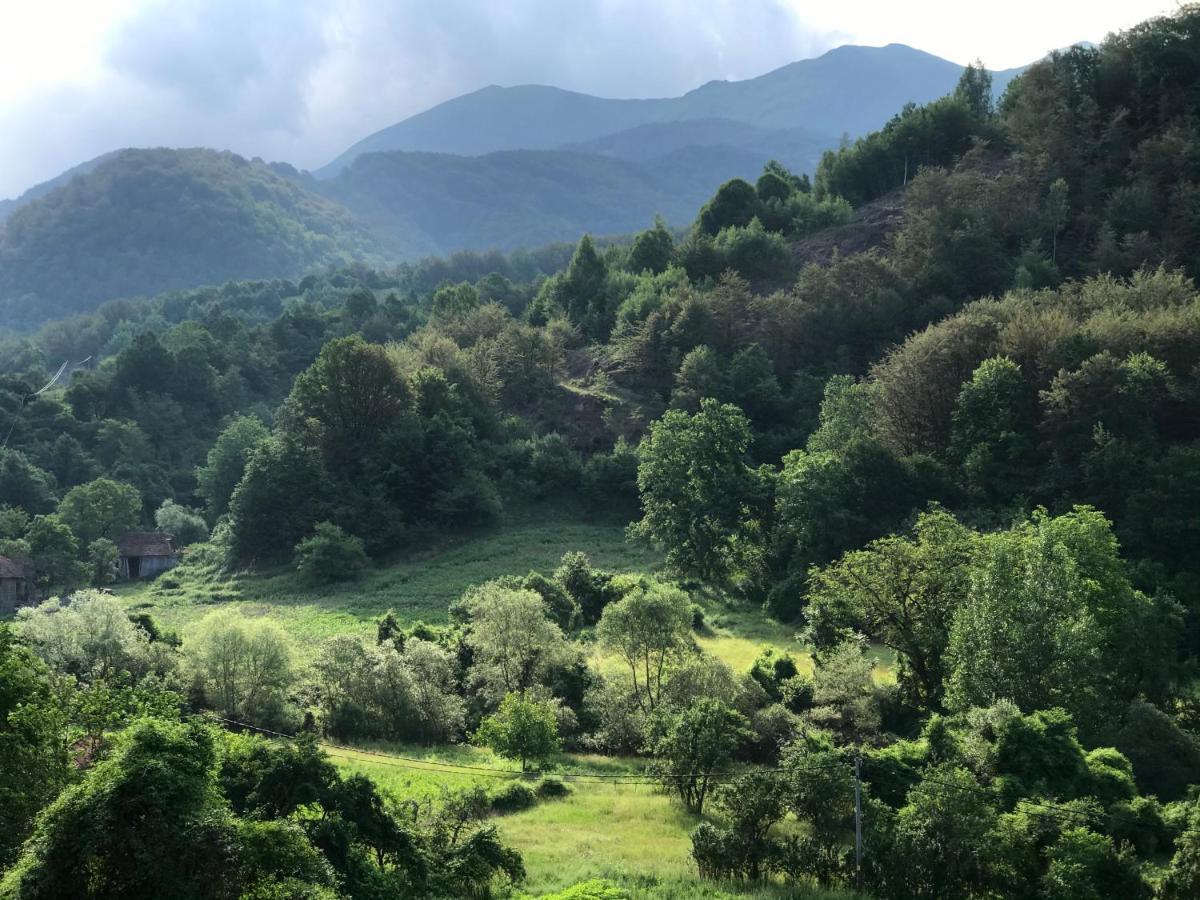 Aphrodite Hills Apartments-Stara Planina Crni Vrh Kültér fotó