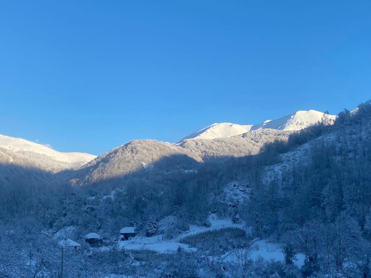 Aphrodite Hills Apartments-Stara Planina Crni Vrh Kültér fotó