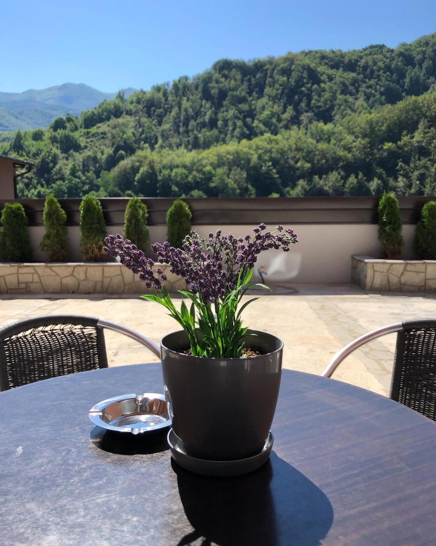 Aphrodite Hills Apartments-Stara Planina Crni Vrh Kültér fotó
