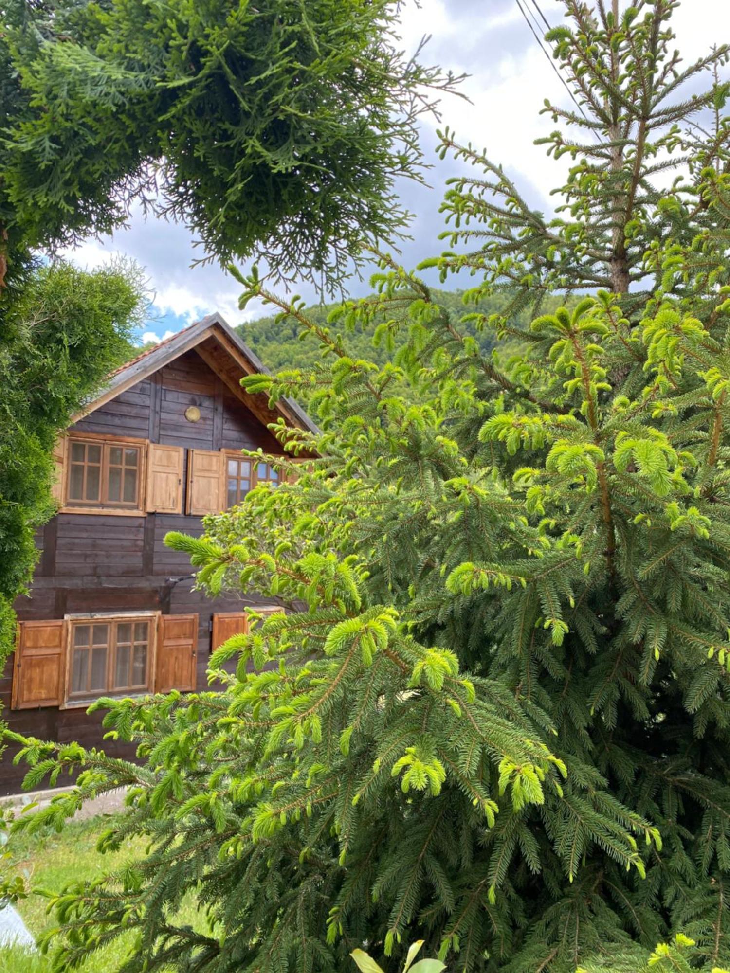 Aphrodite Hills Apartments-Stara Planina Crni Vrh Kültér fotó
