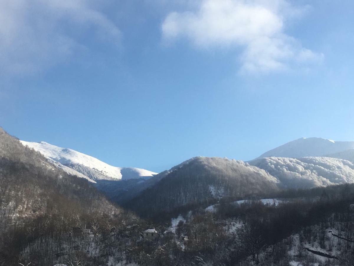 Aphrodite Hills Apartments-Stara Planina Crni Vrh Kültér fotó